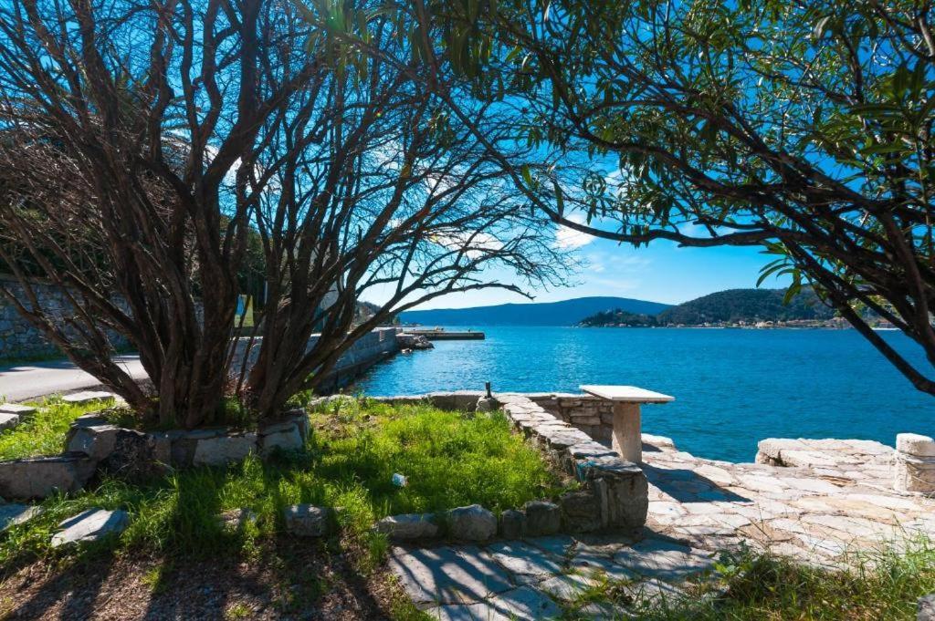 Apartmani Vesna Tivat Exterior photo